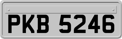 PKB5246