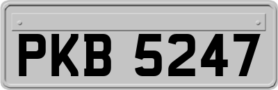 PKB5247