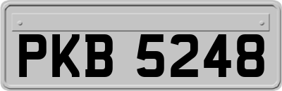 PKB5248