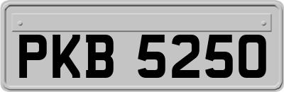 PKB5250
