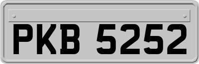 PKB5252