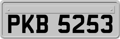 PKB5253