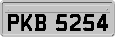 PKB5254