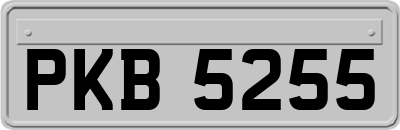 PKB5255