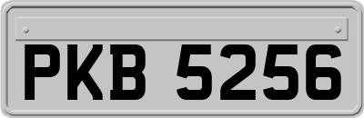 PKB5256