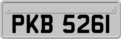 PKB5261