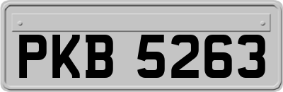 PKB5263