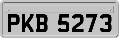 PKB5273