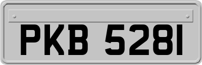 PKB5281