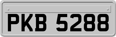 PKB5288