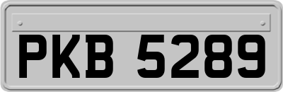 PKB5289