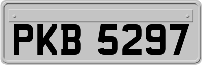 PKB5297