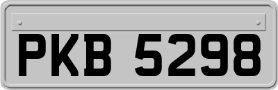 PKB5298