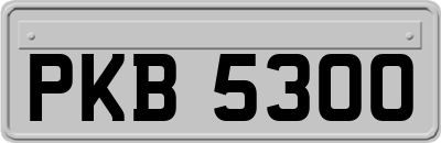 PKB5300