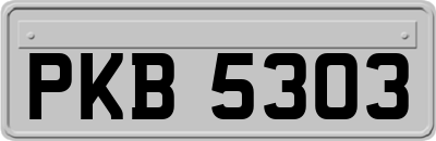 PKB5303