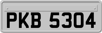 PKB5304