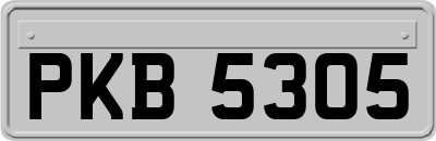 PKB5305