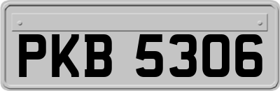 PKB5306