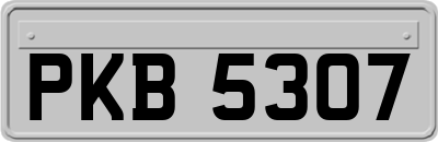 PKB5307