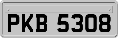 PKB5308