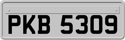 PKB5309