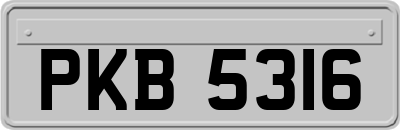 PKB5316