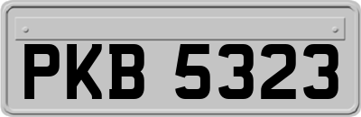 PKB5323