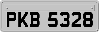 PKB5328