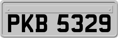 PKB5329