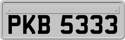 PKB5333
