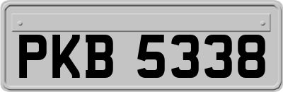 PKB5338