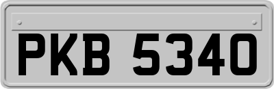 PKB5340