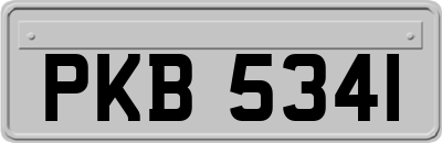 PKB5341