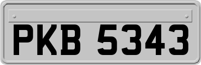 PKB5343
