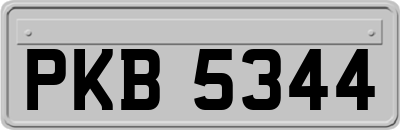 PKB5344