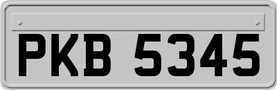 PKB5345