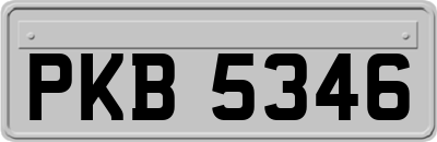 PKB5346