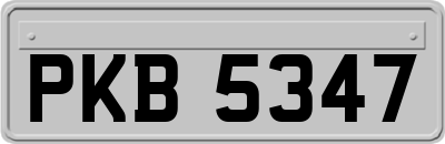 PKB5347