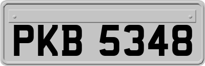 PKB5348
