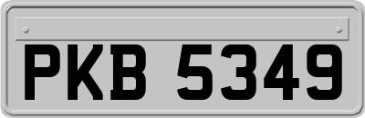 PKB5349