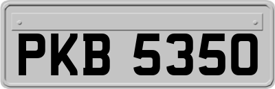 PKB5350