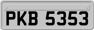 PKB5353