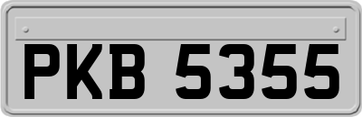 PKB5355