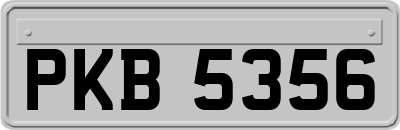 PKB5356