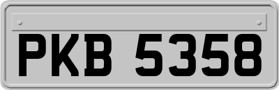 PKB5358