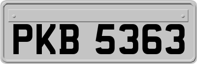 PKB5363
