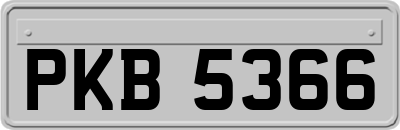 PKB5366