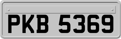 PKB5369