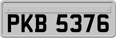 PKB5376