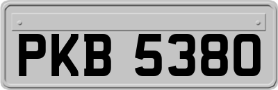 PKB5380